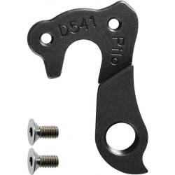 D541 derailleur hanger