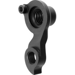 D547 Derailleur hanger