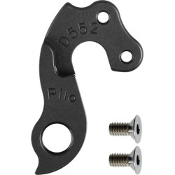D552 derailleur hanger
