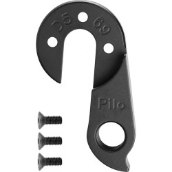 D569 derailleur hanger