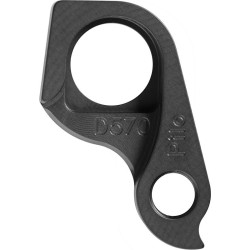 D570 derailleur hanger