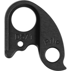 D571 derailleur hanger