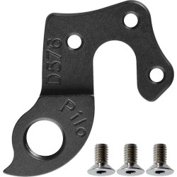 D576 derailleur hanger