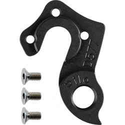 D577 derailleur hanger