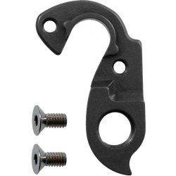 D581 derailleur hanger