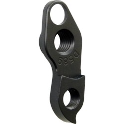 D589 derailleur hanger