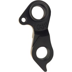 Patte de dérailleur D1038
