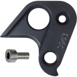 D953 Derailleur hanger