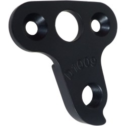 D1009 Derailleur hanger
