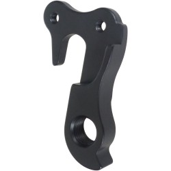 D1010 Derailleur hanger