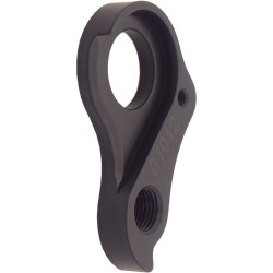 D1012 Derailleur hanger HOPE