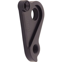 D1017 Derailleur hanger