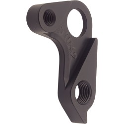 D1042 Derailleur hanger RAAW - 6066