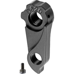 D620 derailleur hanger