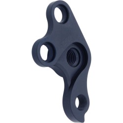 D969 Derailleur hanger