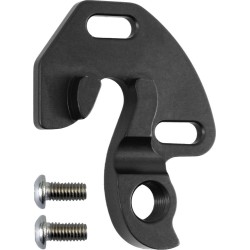 D656 derailleur hanger LOOK
