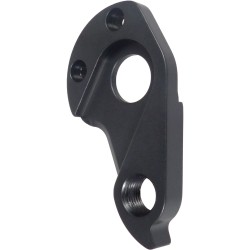 D981 Derailleur hanger