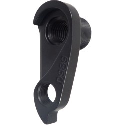D989 Derailleur hanger