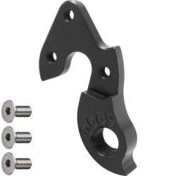 Patte de dérailleur D669 RIDLEY