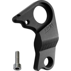 Patte de dérailleur D677 WHYTE