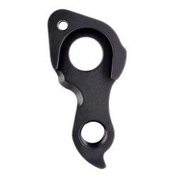D1077 derailleur hanger