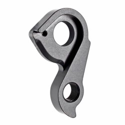 D1094 derailleur hanger