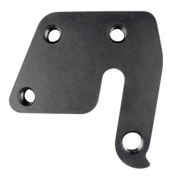 D1102 derailleur hanger