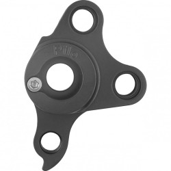 D1107 derailleur hanger