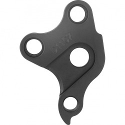 D1107 derailleur hanger