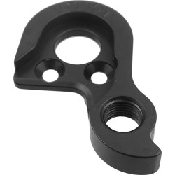 D1101 Derailleur hanger