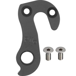 D1110 Derailleur hanger